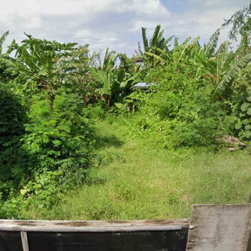 dijual tanah sedap malam