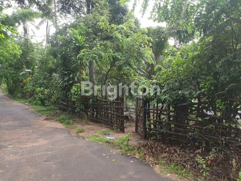 dijual tanah super murah di malingping lebak banten