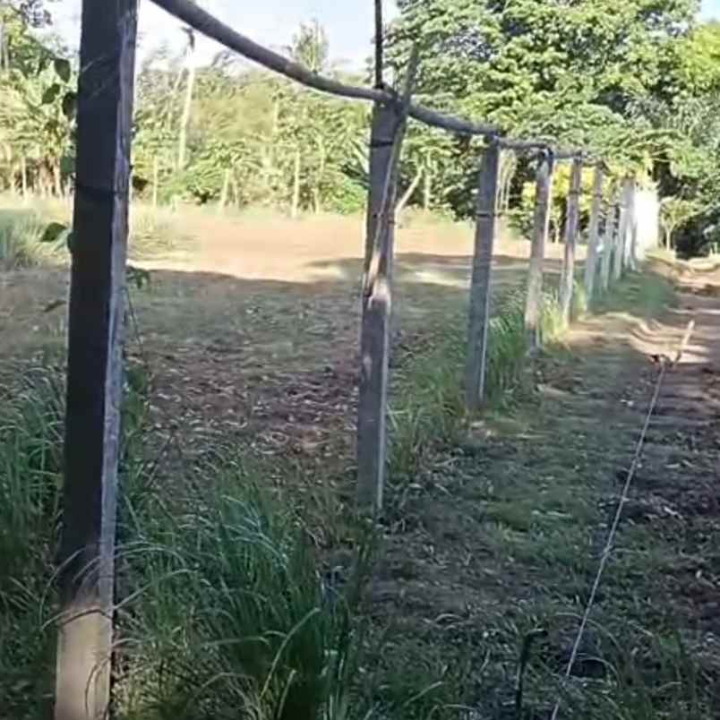 dijual tanah tangguntiti