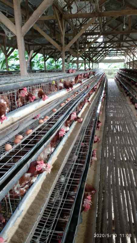 dijual tanah tegal bunder kec