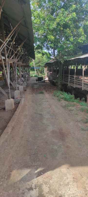 dijual tanah tegal bunder kec