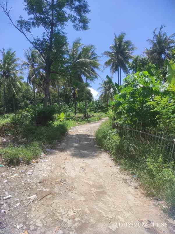 dijual tanah tegal bunder kec