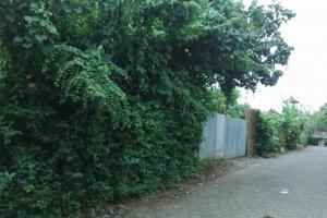 dijual tanah trengguli denpasar timur bali