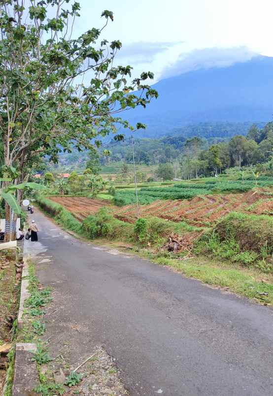 dijual tanah view gunung di linggarjati