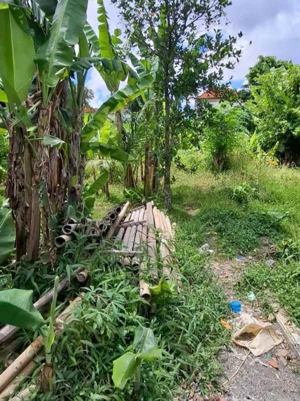 dikontrakan 2 1 are jl raya semer kerobokan kuta utara