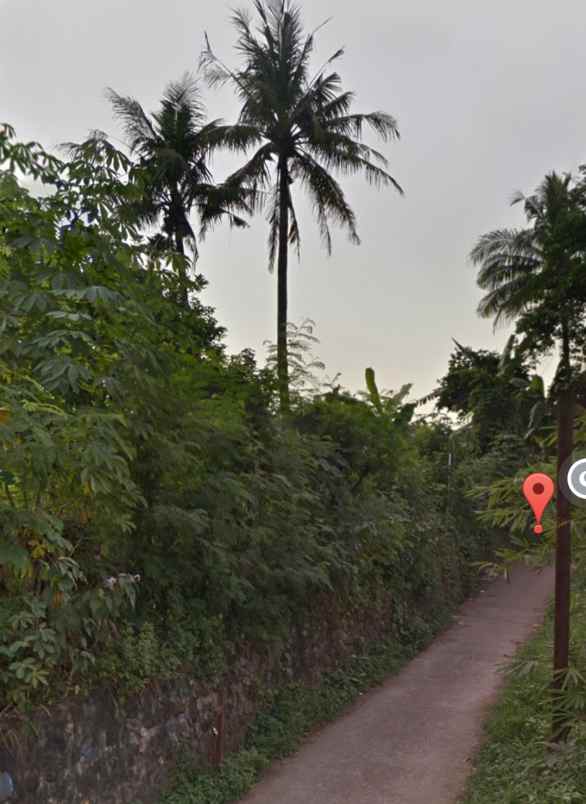 disewakan lahan kebon tahunan