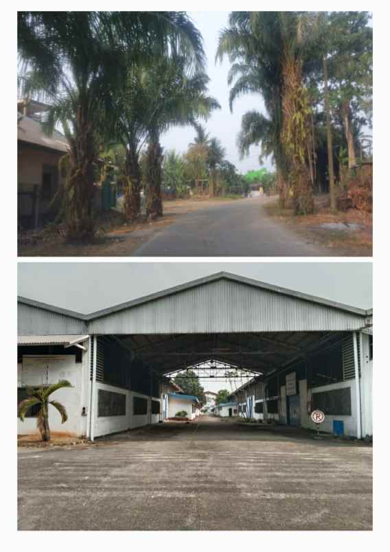 disewakan ruko gudang kantor kawasan balaraja