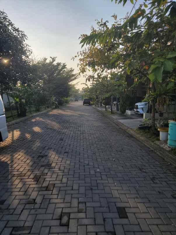 disewakan rumah green ara