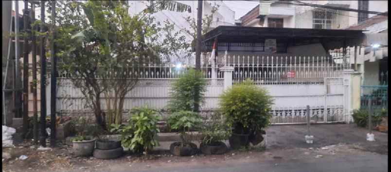 disewakan rumah pucang adi kel kertajaya