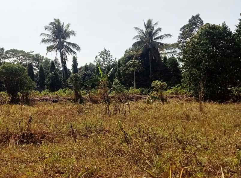 disewakan tanah komersil 2 hektar bantargebang bekasi