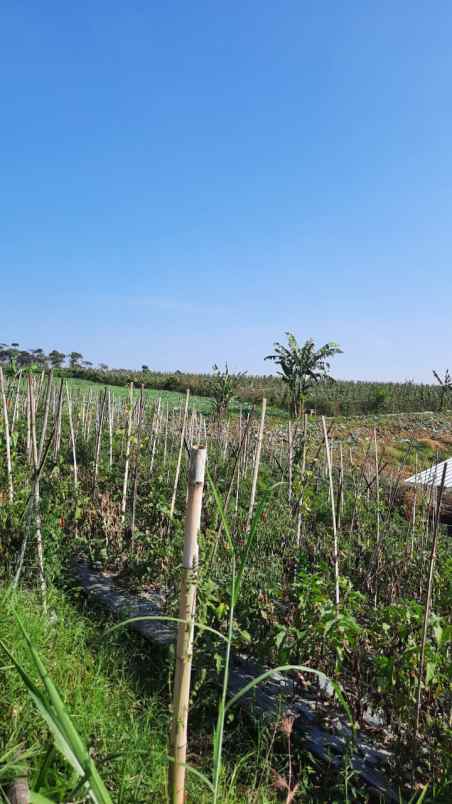 jual cepat tanah 420 m2