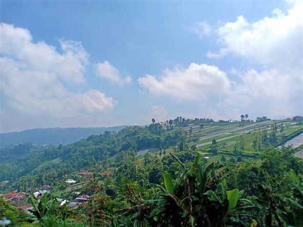 jual cepat tanah 658m2 kemuning karanganyar