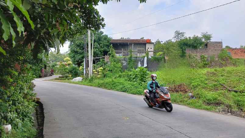 jual dan sewa tanah mangunharjo raya dekat citra grand