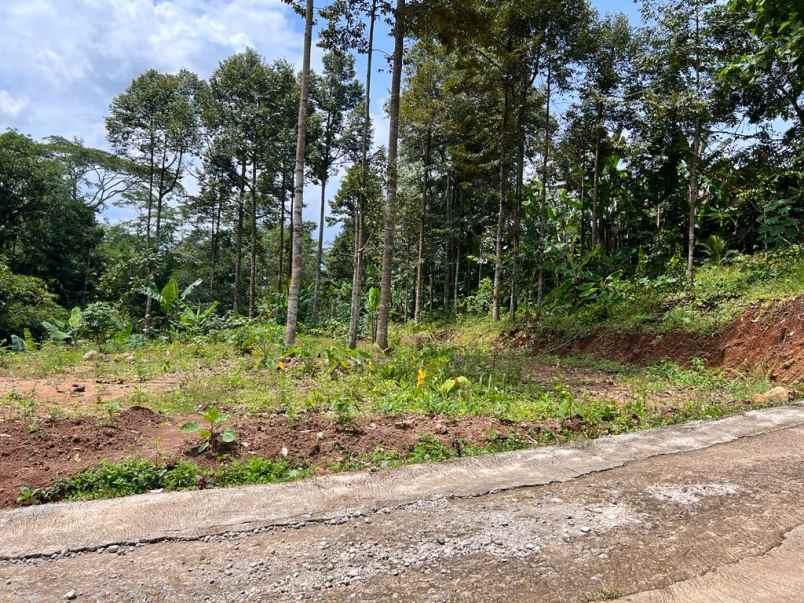 jual kebun durian 1900m2 mojogedang karanganyar