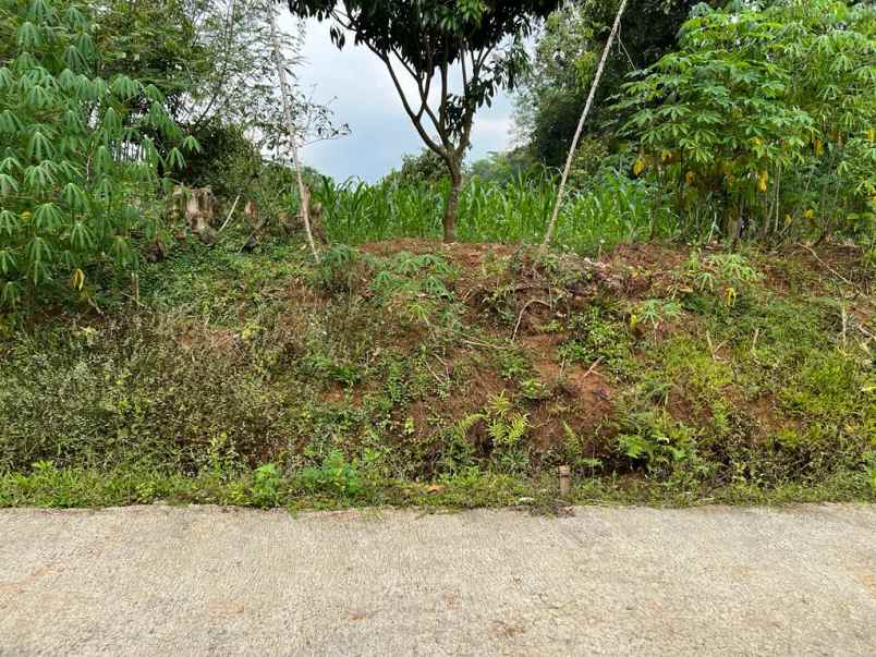 jual kebun durian datar kerjo karanganyar