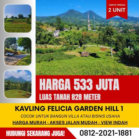 jual kebun durian musang king