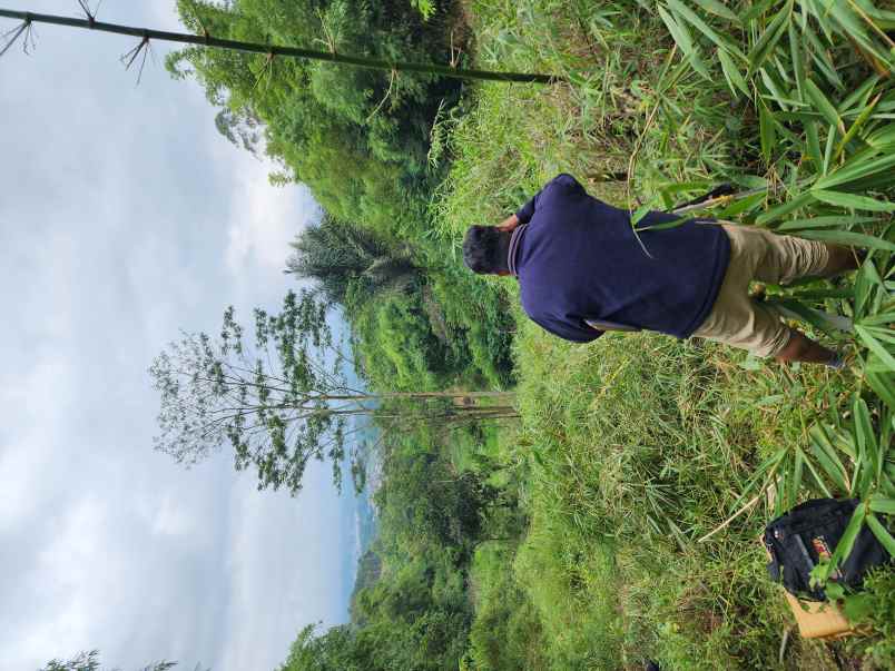 jual tanah murah ciwidey bandung