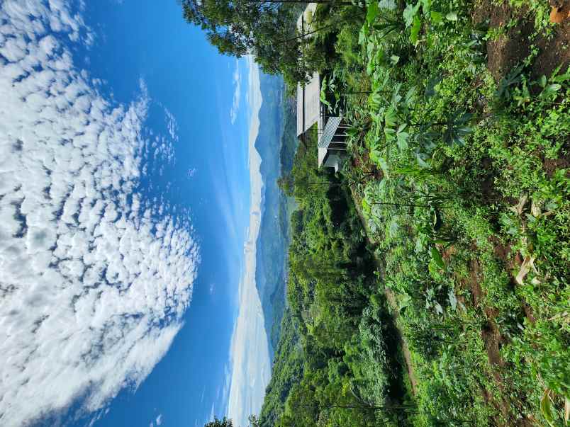 jual tanah murah ciwidey bandung