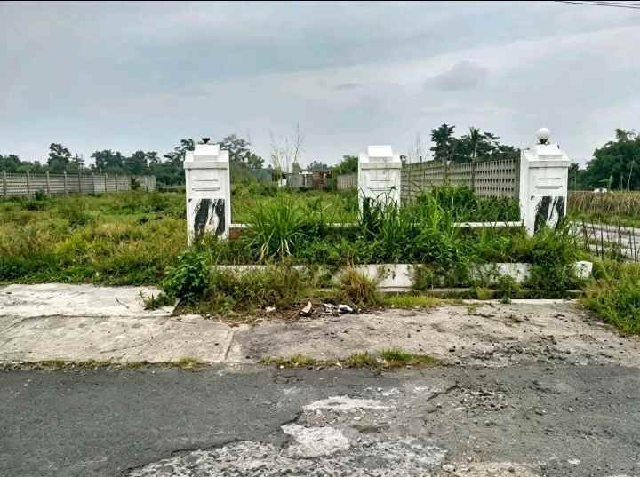 jual tanah murah di kadisoka kalasan yogyakarta