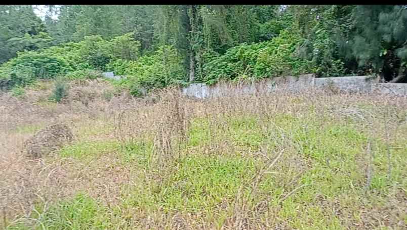 jual tanah shm di berastagi peceren