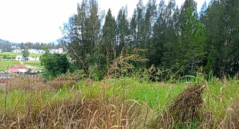 jual tanah shm di berastagi peceren