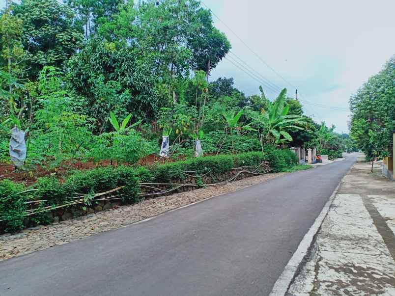 kebun durian utara pasar mojogedang karanganyar