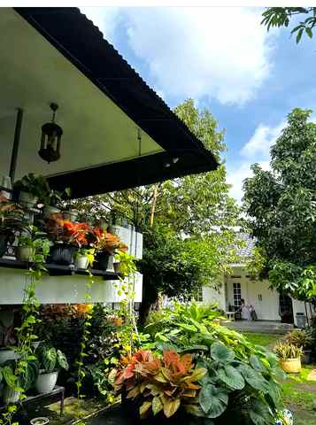 kemang utara raya 1 lantai