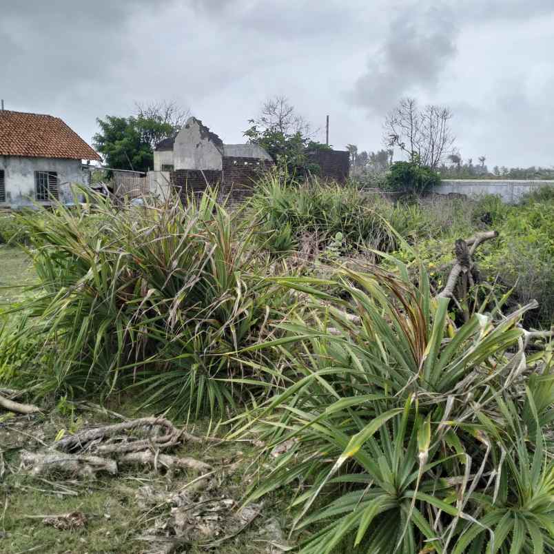 lahan kosong dekat dengan pantai