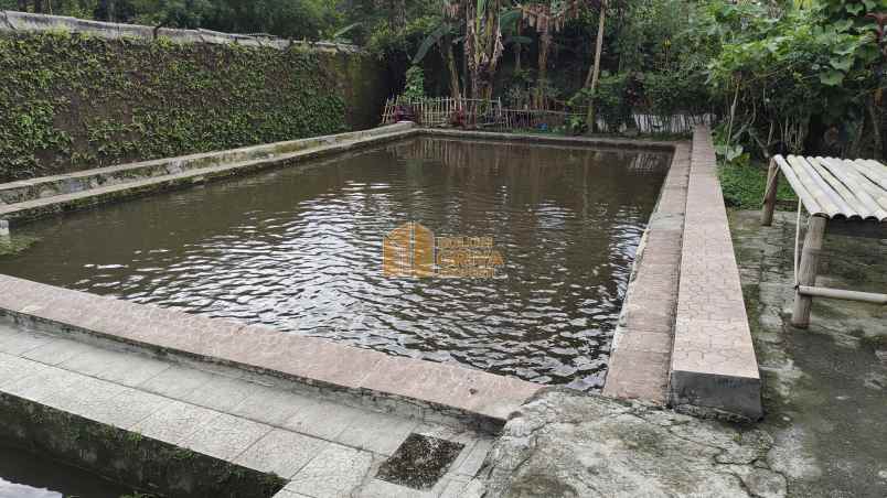 rumah desa ciomas kec ciomas kab