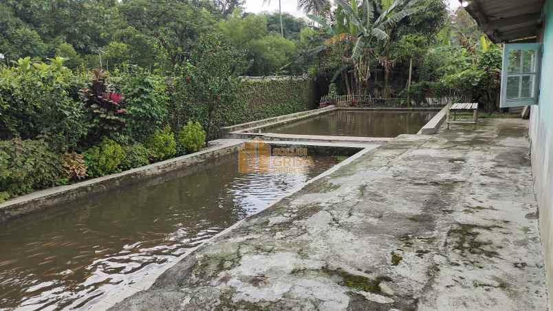 rumah desa ciomas kec ciomas kab