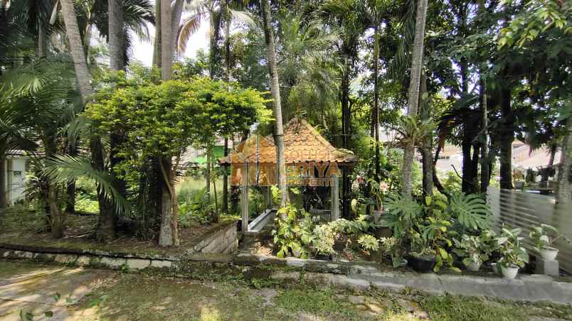 rumah jalan raya ciomas