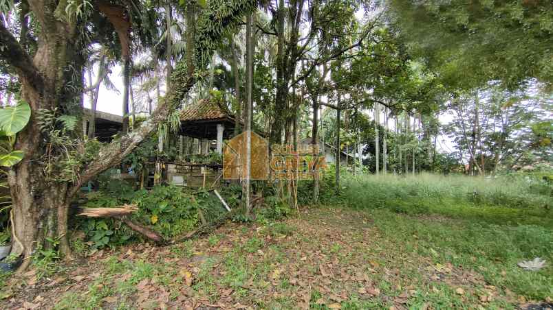 rumah jalan raya ciomas