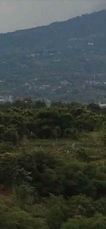 rumah kebun 600 jt di caringin kabupaten bogor