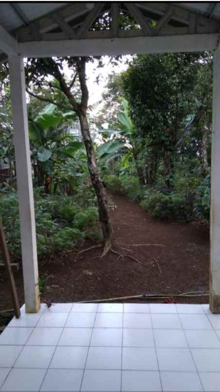 rumah kebun 600 jt di caringin kabupaten bogor