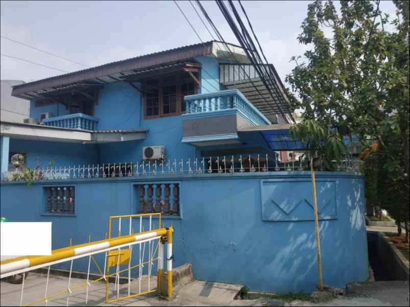 rumah kelapa kopyor kelapa gading