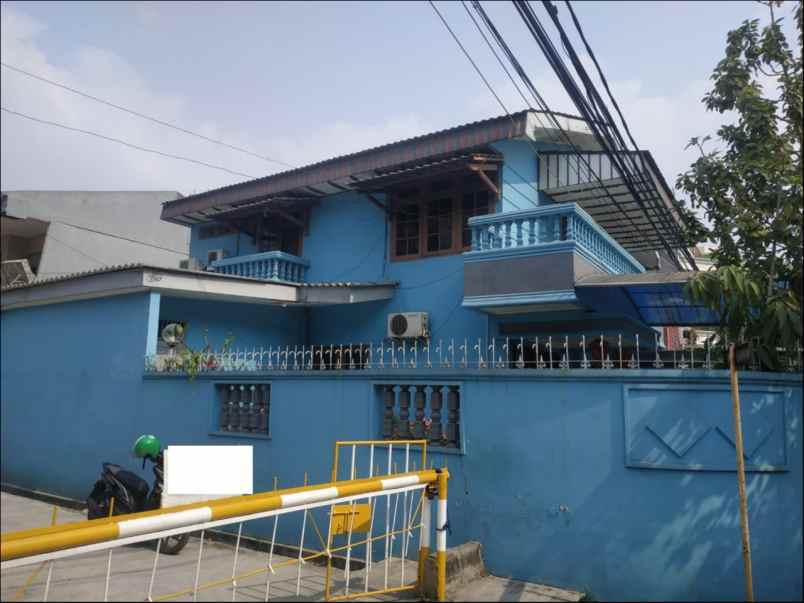 rumah kelapa kopyor kelapa gading