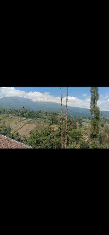 rumah pinggir jalan akses wisata gunung bromo