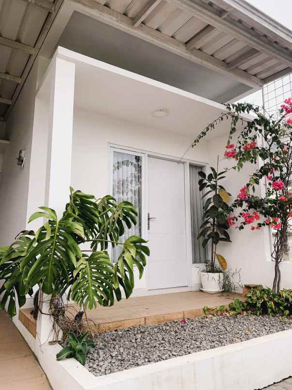 rumah suasana asri penuh tanaman cantik