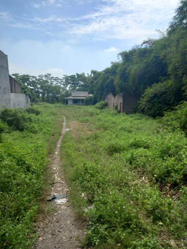 tanah 0 jalan propinsi 3 574 meter cocok u gudang