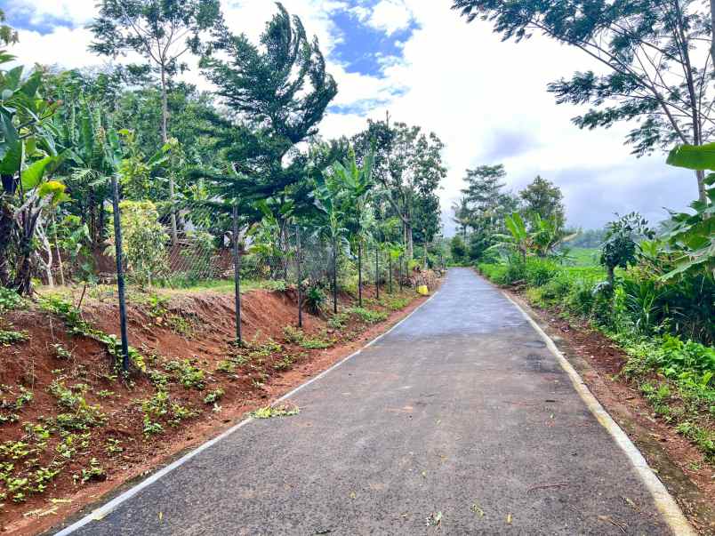 tanah 550m2 view persawahan karangpandan karanganyar