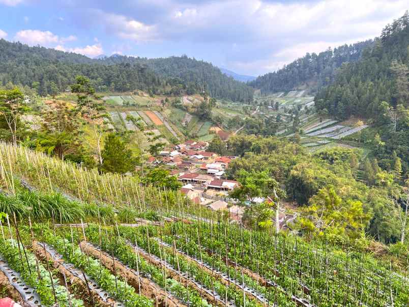 tanah 600m kemuning ngargoyoso karanganyar
