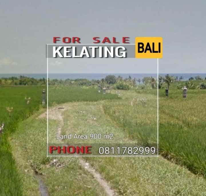 tanah 900m2 dekat pantai dan view sawah di kelating