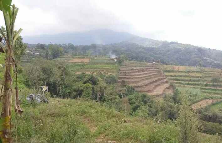tanah batunya baturiti bedugul