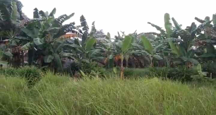 tanah bebas banjir ciketing mustikajaya bekasi