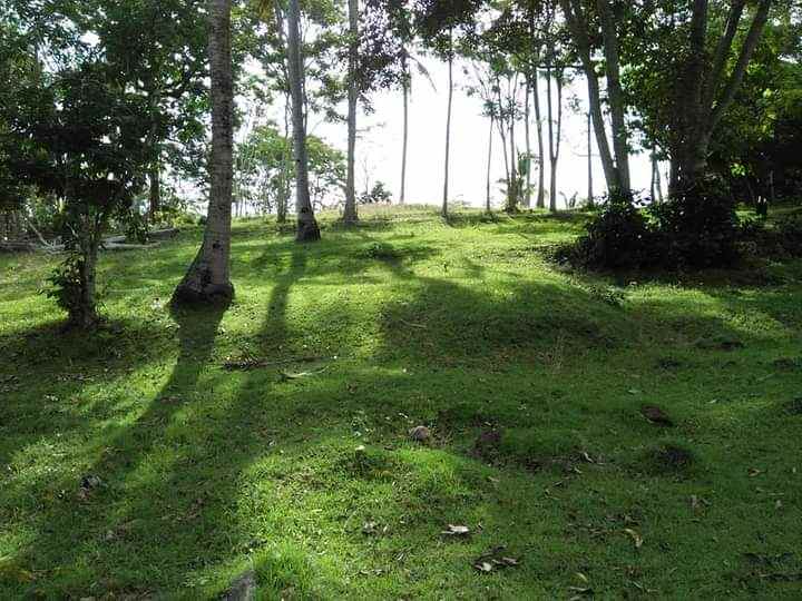 tanah bonian selemadeg tabanan bali