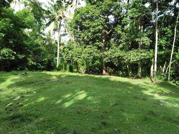 tanah bonian selemadeg tabanan bali