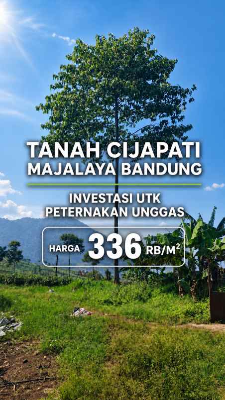 tanah cijapati