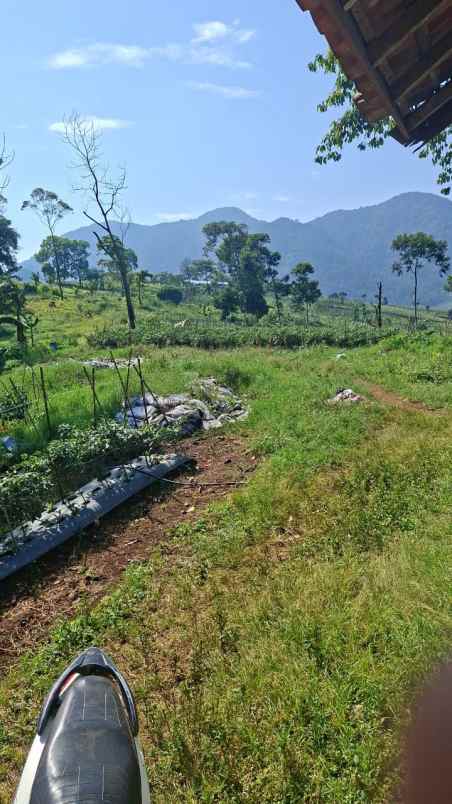 tanah cijapati