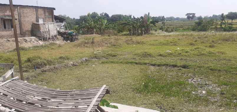 tanah delanggu