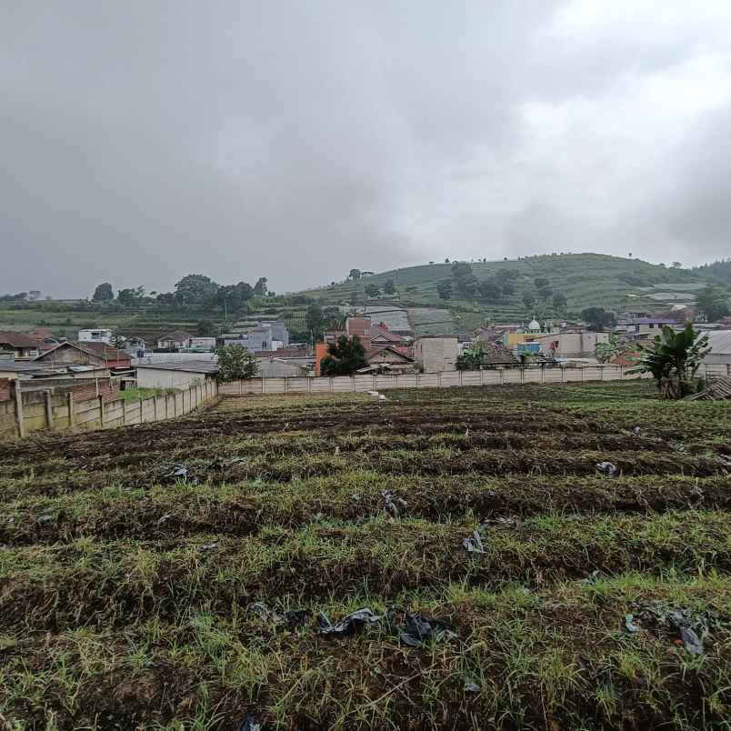 tanah dijual lembang bandung